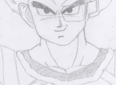 Fonds d'cran Art - Crayon Vegeta