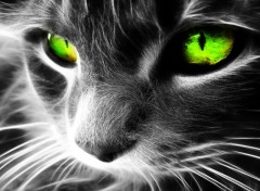 Wallpapers Digital Art Green eyes