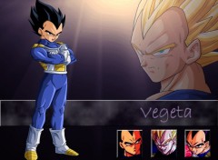 Fonds d'cran Manga Wallpaper Vegeta