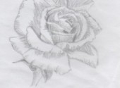 Fonds d'cran Art - Crayon Rose