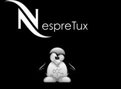 Fonds d'cran Informatique NespreTux