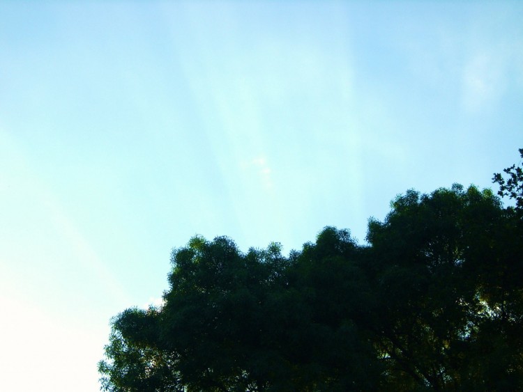 Fonds d'cran Nature Ciel - Nuages light in the sky