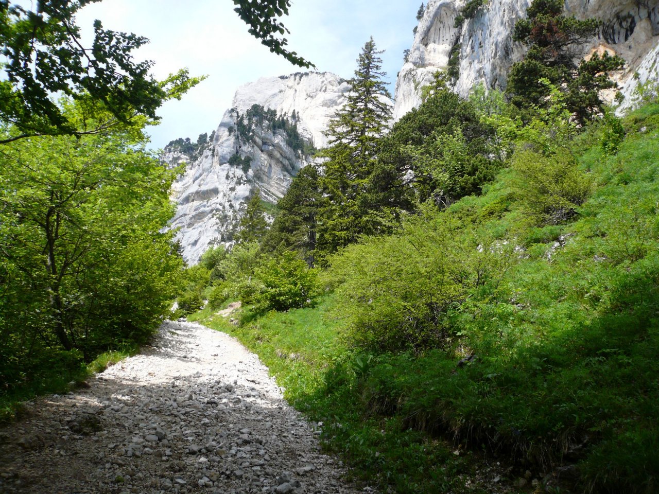 Fonds d'cran Nature Arbres - Forts lances de malissard, isre