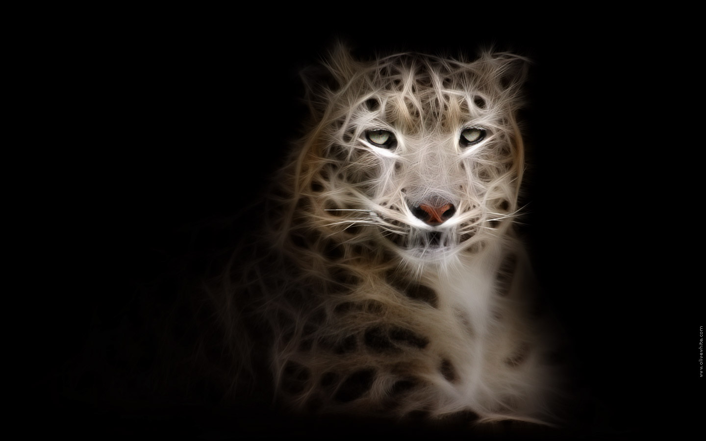 Fonds d'cran Art - Numrique Animaux Patou la Panthre des Neiges | Srie Fractalius