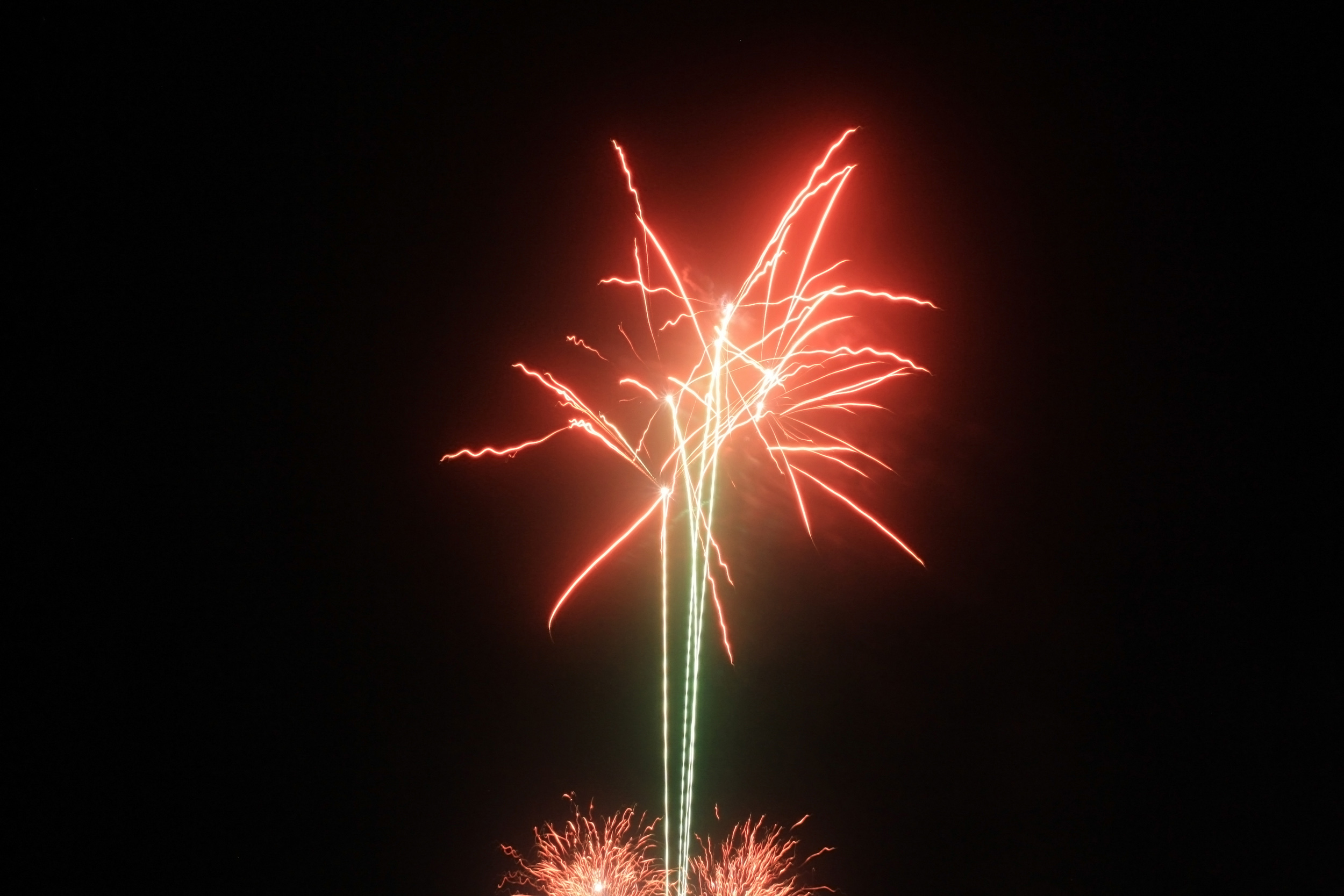 Fonds d'cran Hommes - Evnements Feux d'Artifice Palmier