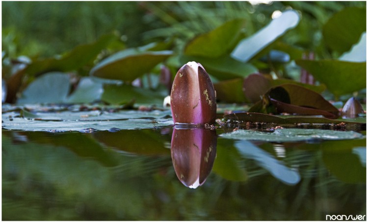 Wallpapers Nature Lakes - Ponds Mirror