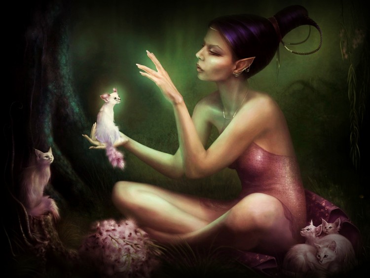 Wallpapers Fantasy and Science Fiction Fairies Fairy and Cats