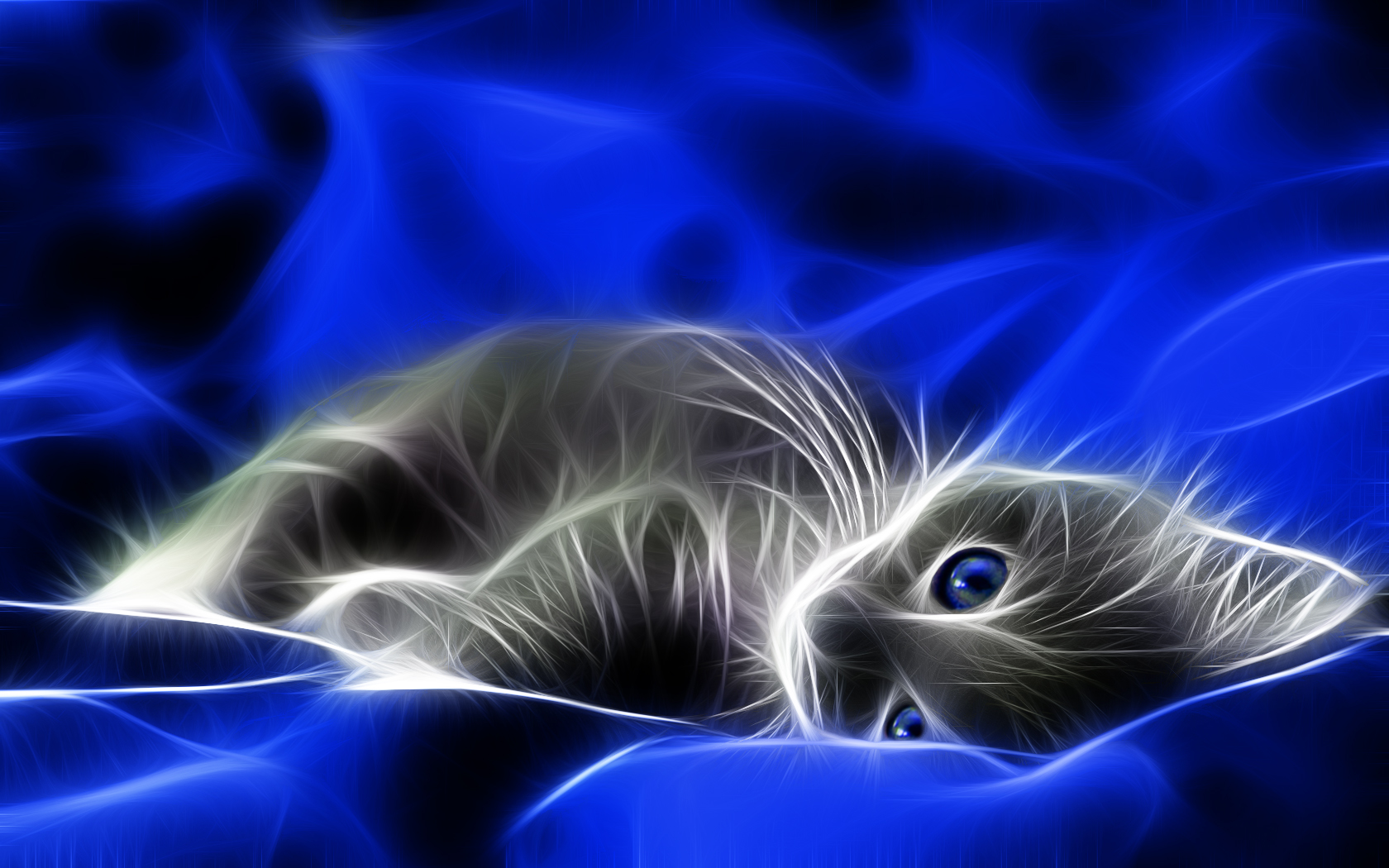 Wallpapers Animals Cats - Kittens Tendre soie