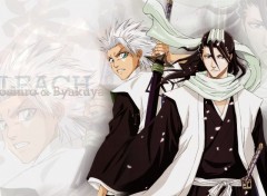 Fonds d'cran Manga Toshiro et Byakuya