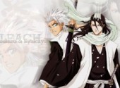 Wallpapers Manga Toshiro et Byakuya