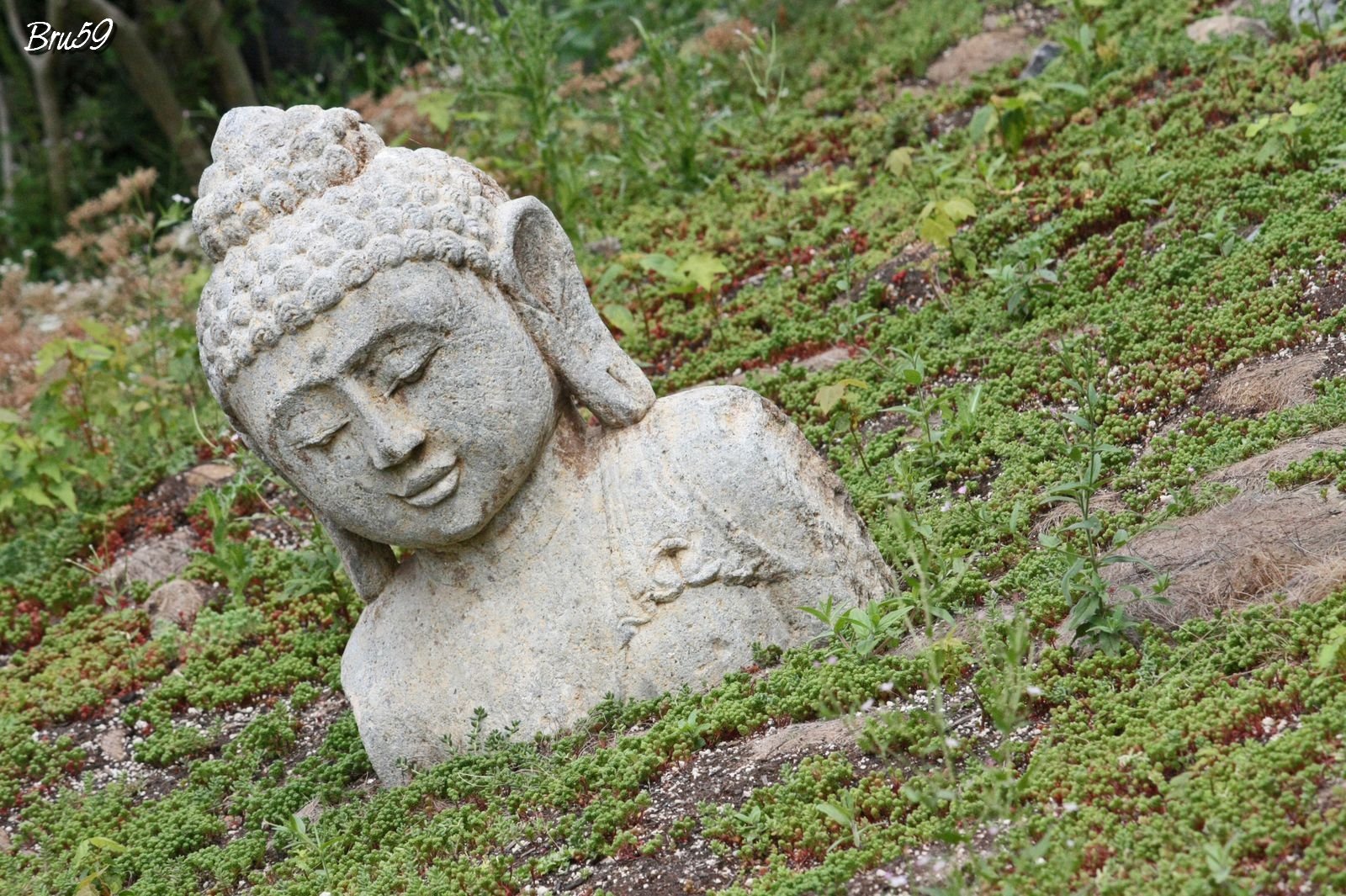 Fonds d'cran Constructions et architecture Statues - Monuments Statue de Boudha dans la prairie