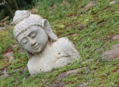 Fonds d'cran Constructions et architecture Statue de Boudha dans la prairie