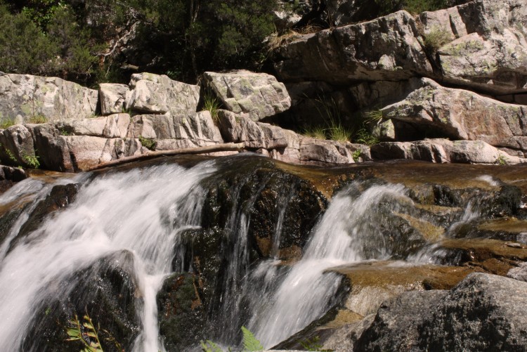 Fonds d'cran Nature Cascades - Chutes Cascades de la fort d'Atone - Corse