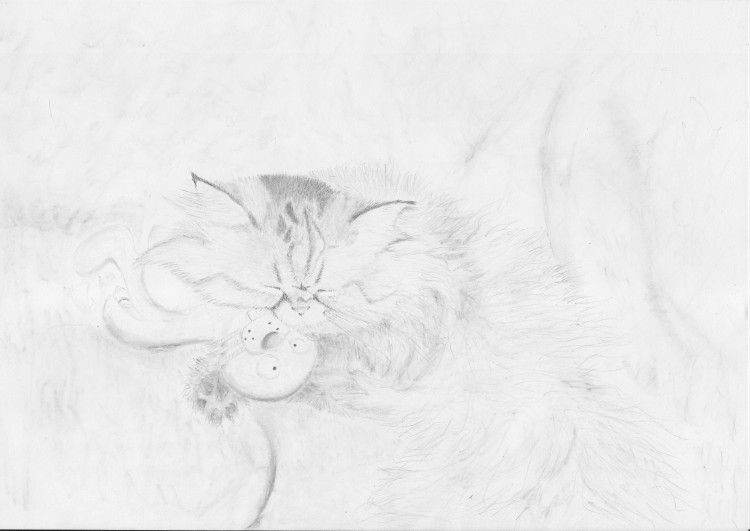 Wallpapers Art - Pencil Animals - Cats - Kittens Mietze