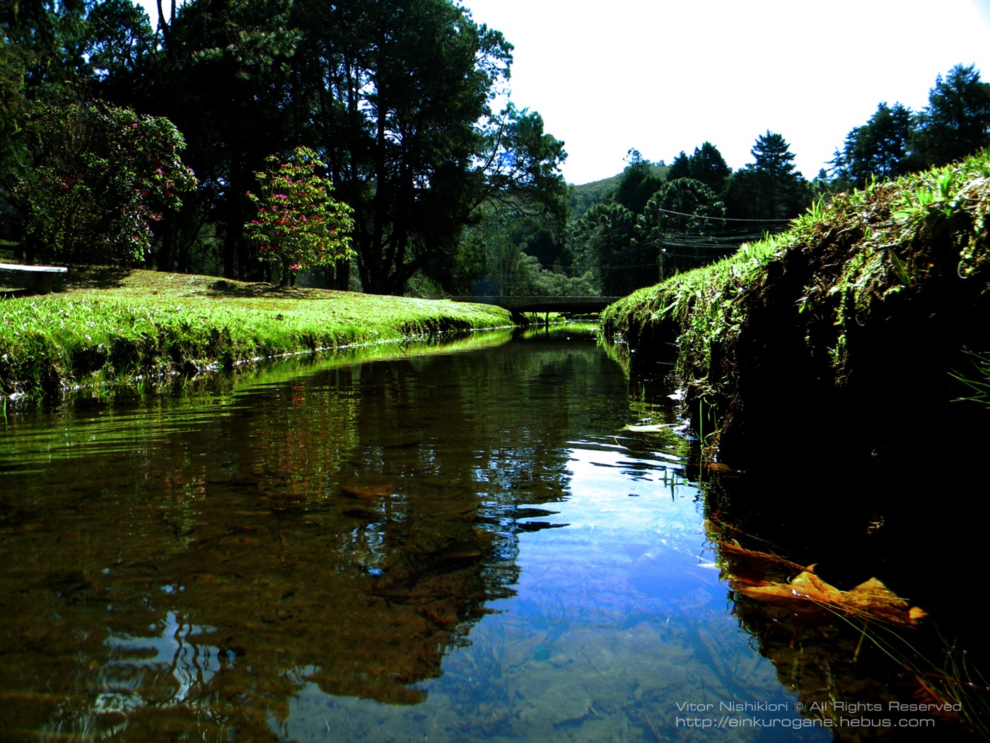 Wallpapers Nature Lagoons Green Path