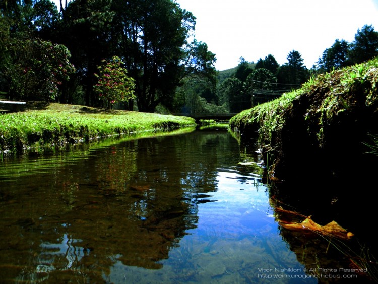 Wallpapers Nature Lagoons Green Path