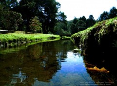 Wallpapers Nature Green Path