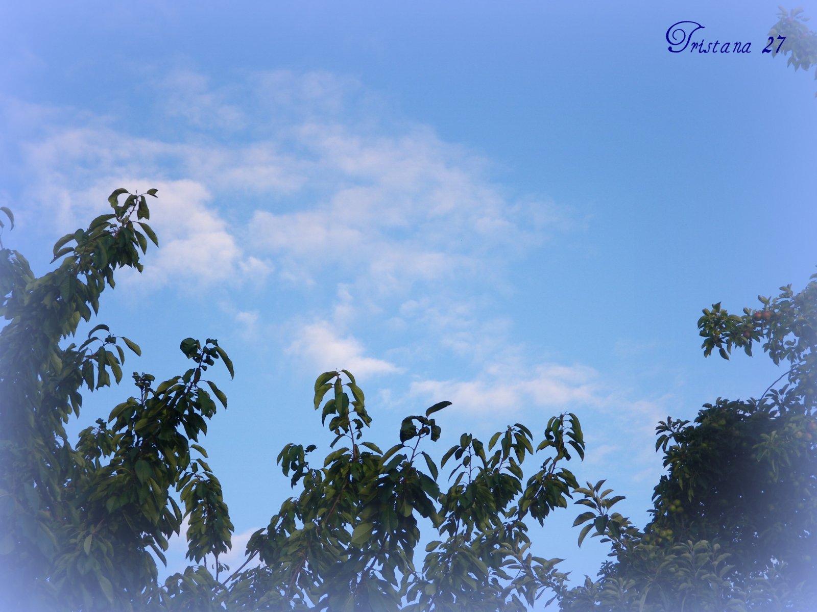 Wallpapers Nature Skies - Clouds 