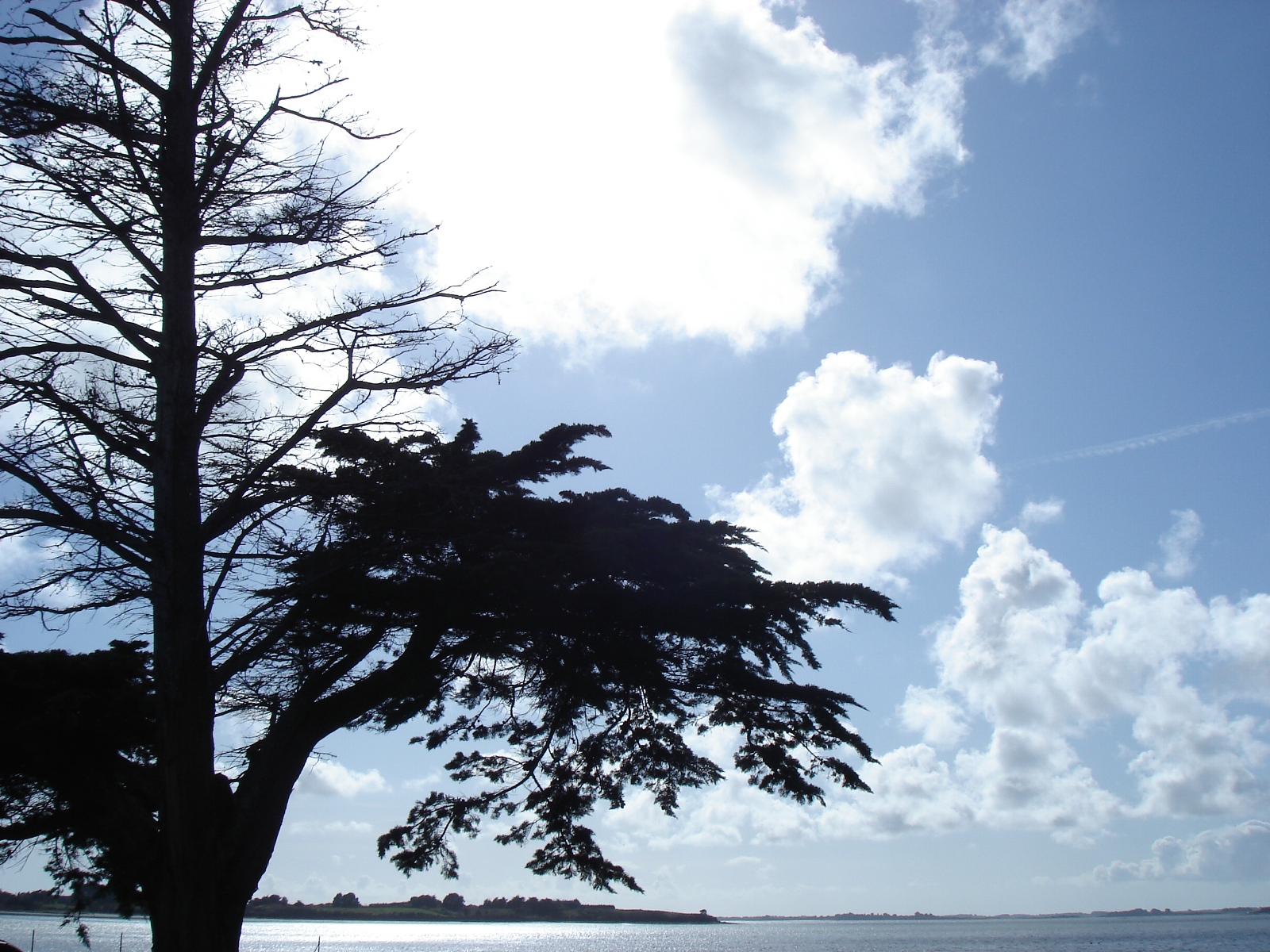 Fonds d'cran Nature Mers - Ocans - Plages 