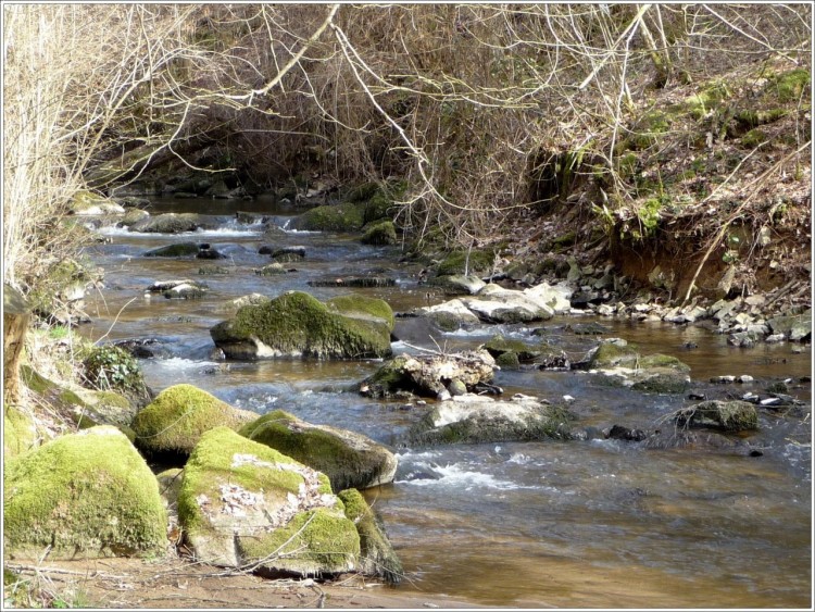 Fonds d'cran Nature Fleuves - Rivires - Torrents Fracheur naturelle