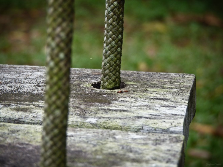 Fonds d'cran Nature Parcs - Jardins Balancoire