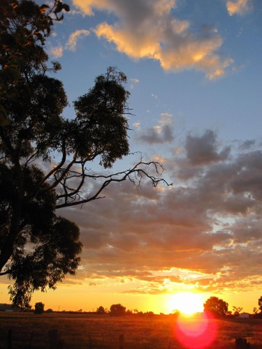 Fonds d'cran Nature Couchers et levers de Soleil Shepparton - Australie