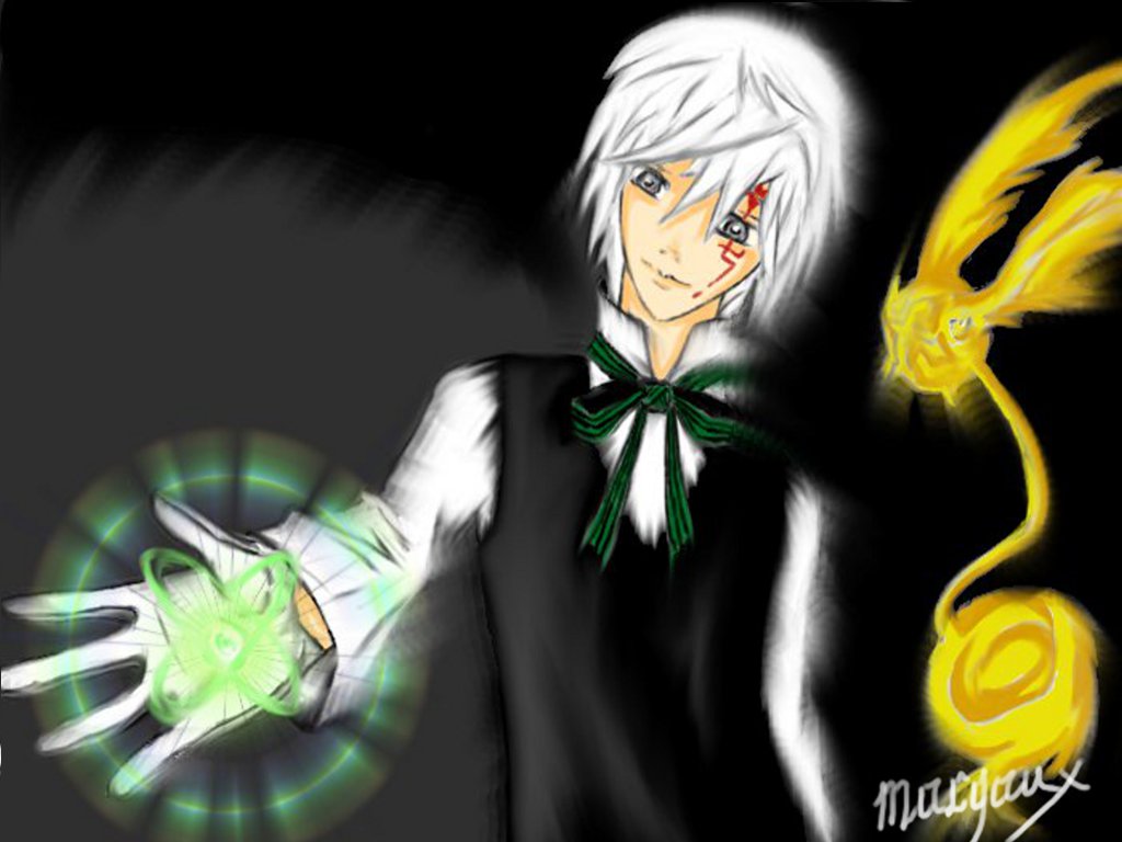 Wallpapers Manga D. Gray-Man Allen et Timcanpy_innocence