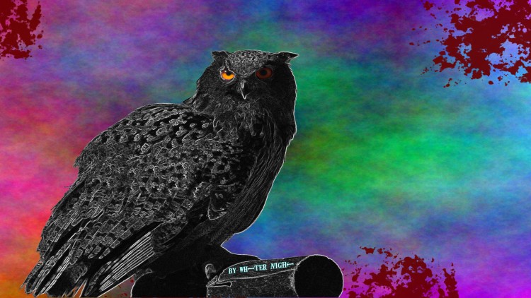 Fonds d'cran Art - Numrique Animaux Dark Owl