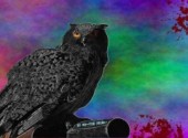 Fonds d'cran Art - Numrique Dark Owl