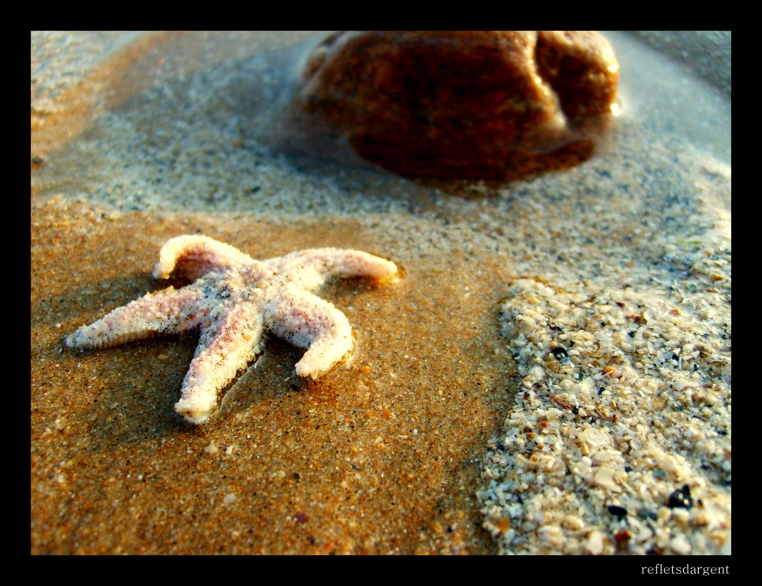 Fonds d'cran Nature Mers - Ocans - Plages  la belle toile