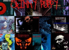 Wallpapers Music skinny puppy