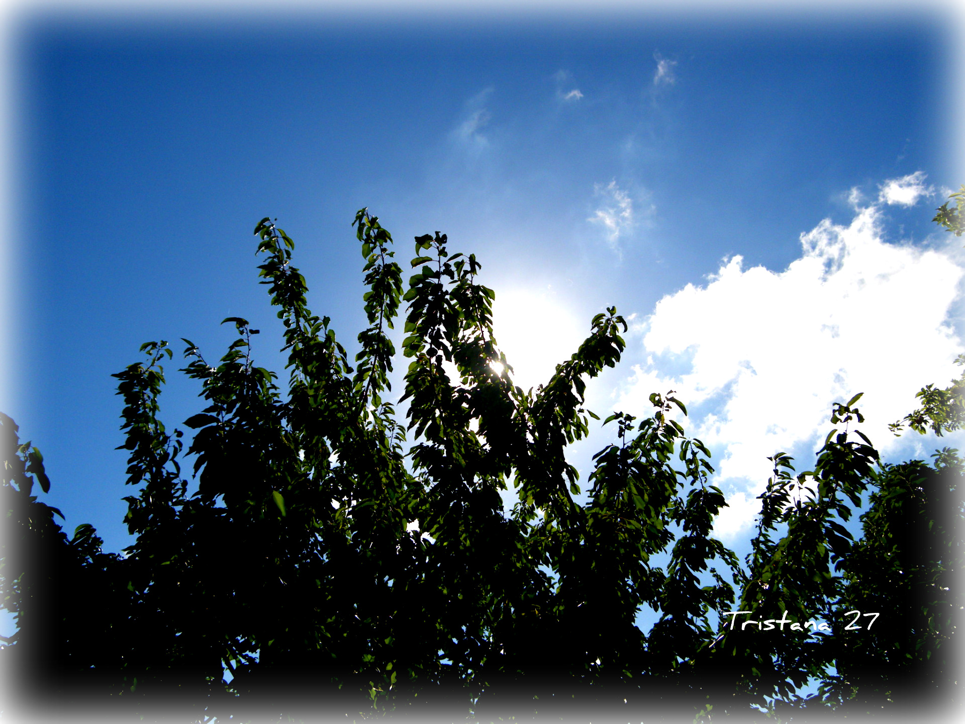 Fonds d'cran Nature Ciel - Nuages Ciel et nuages...