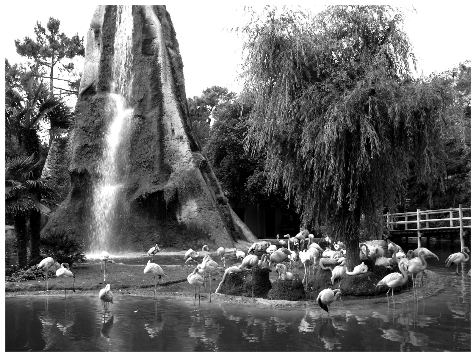 Fonds d'cran Nature Cascades - Chutes Cascade