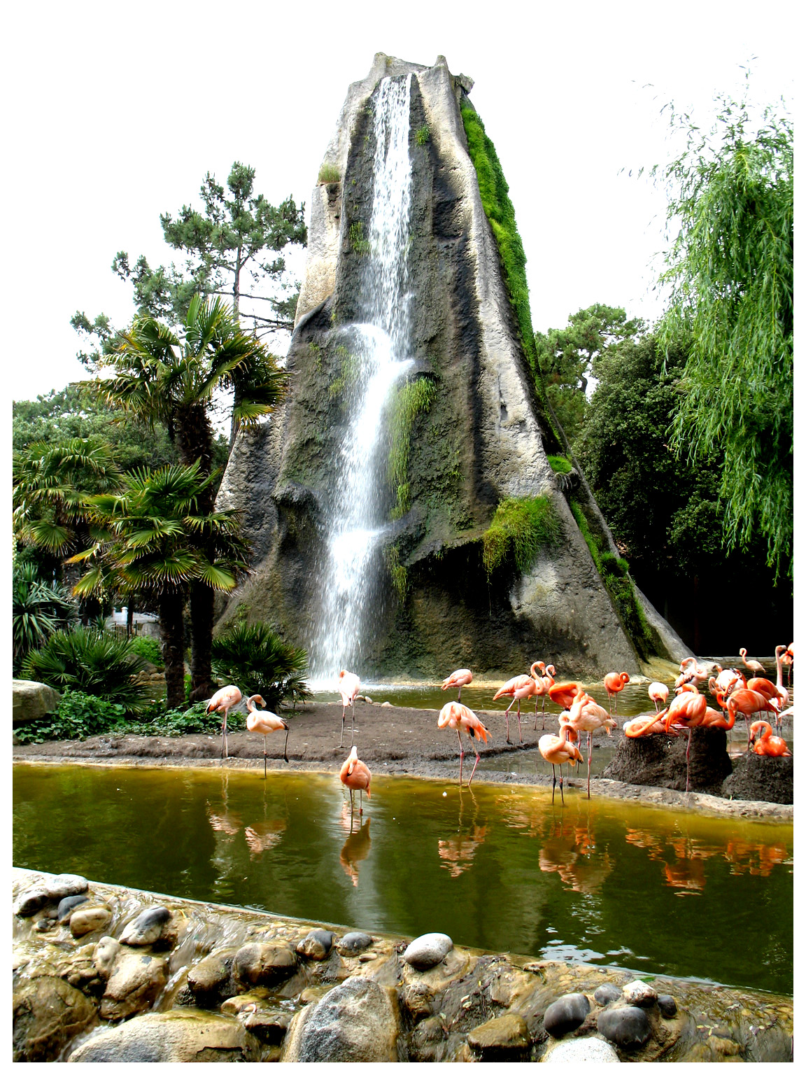 Fonds d'cran Animaux Oiseaux - Flamants Cascade