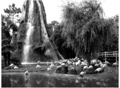 Fonds d'cran Nature Cascade