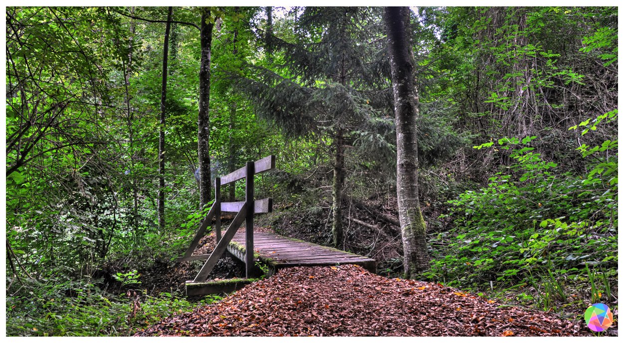 Fonds d'cran Constructions et architecture Ponts - Aqueducs Pont en bois HDR