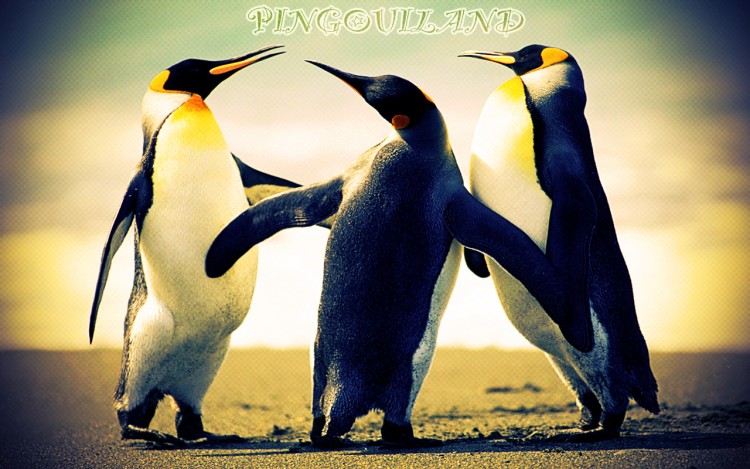 Wallpapers Digital Art Animals Pingouiland