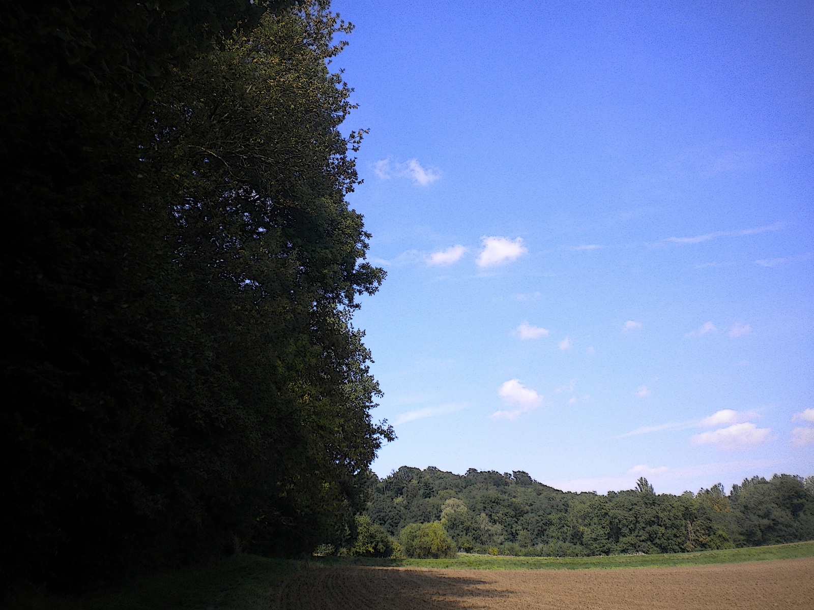 Wallpapers Nature Trees - Forests bailleval