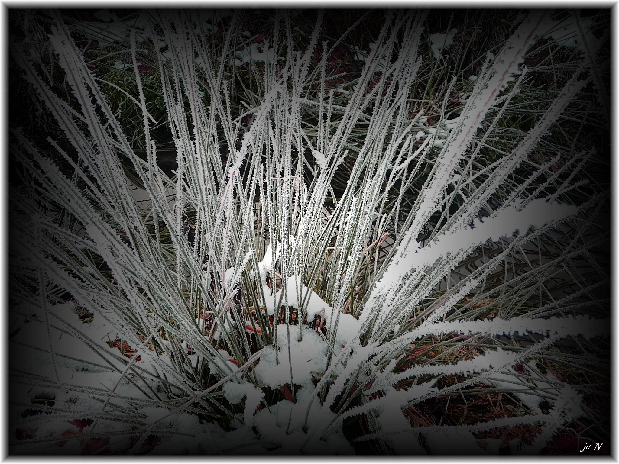 Fonds d'cran Nature Saisons - Hiver Magie de la nature