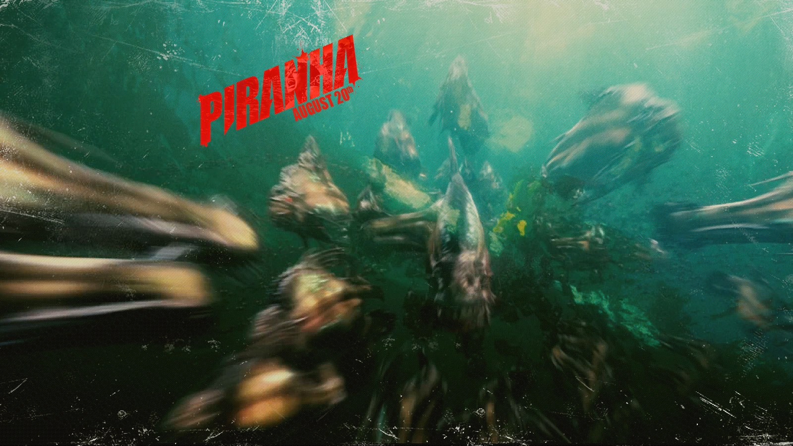 Fonds d'cran Cinma Piranha 3D 