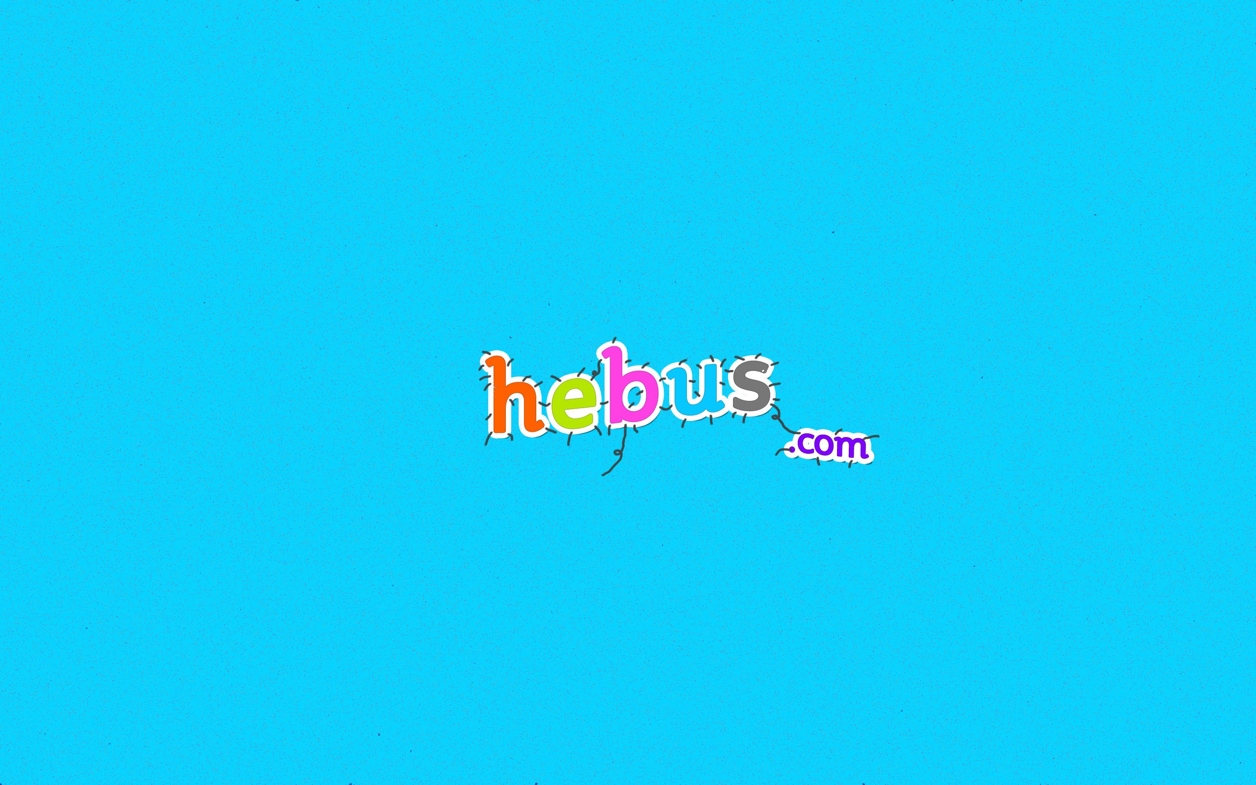 Fonds d'cran Grandes marques et publicit Sites web - Hebus cousu...