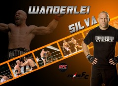 Wallpapers Sports - Leisures Wanderlei Silva