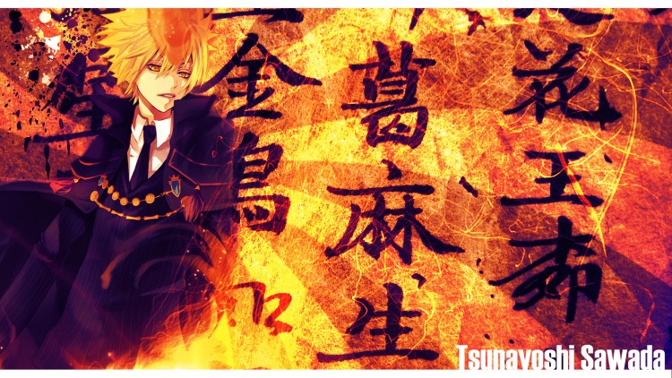 Wallpapers Manga Katekyoshi Hitman Reborn Tsunayoshi Sawada,reborn,manga,japonais,jeuxvideo,flamme.