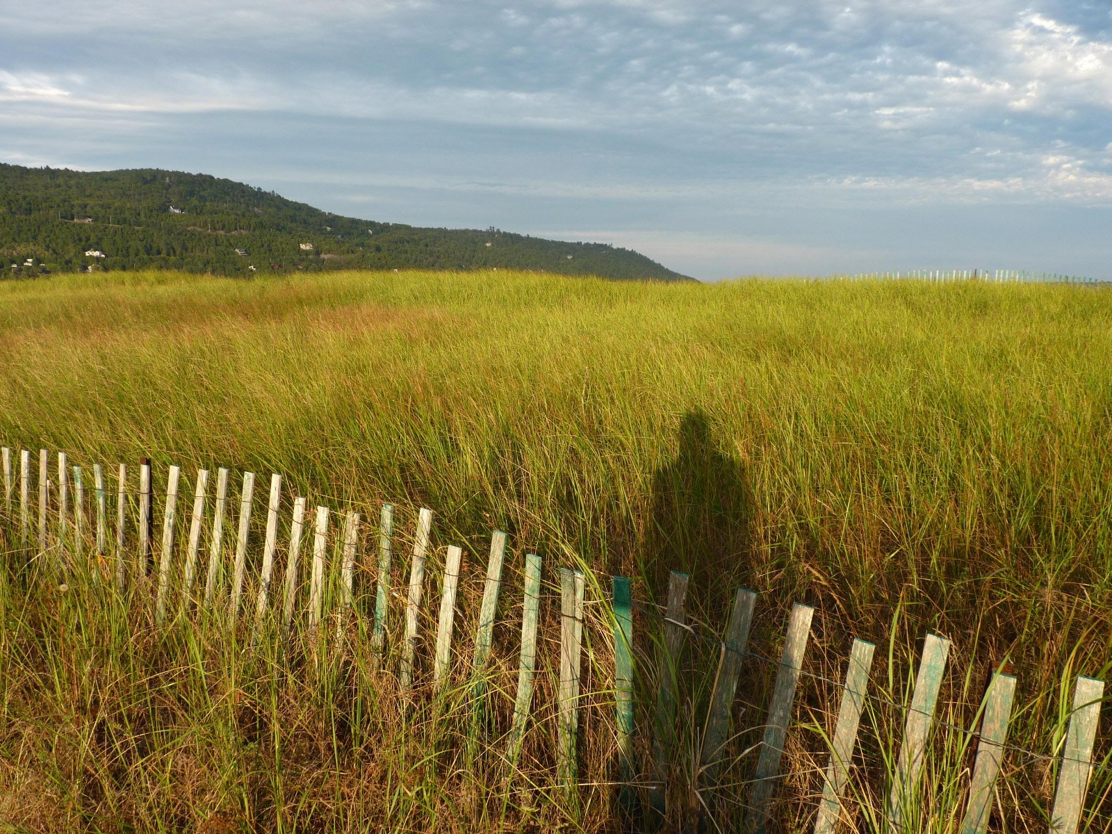 Fonds d'cran Nature Champs - Prairies Ombre porte