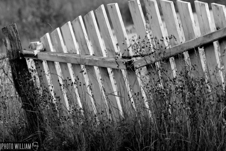 Fonds d'cran Nature Divers - Compositions le portail ...