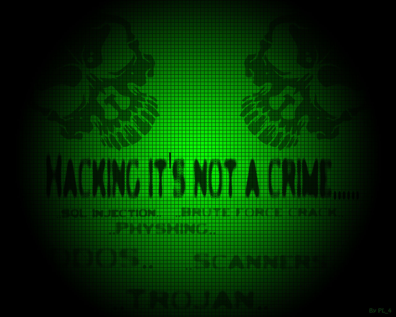 Fonds d'cran Informatique Geek Hacking its not a crime