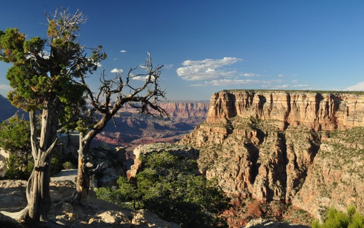 Fonds d'cran Nature Canyons Grand Canyon