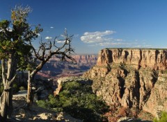 Fonds d'cran Nature Grand Canyon