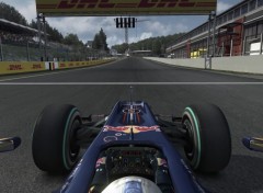 Wallpapers Video Games F1 2010 wallpaper 1920x1200 by ctraxx66