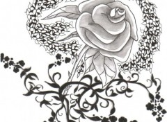 Wallpapers Art - Pencil rose